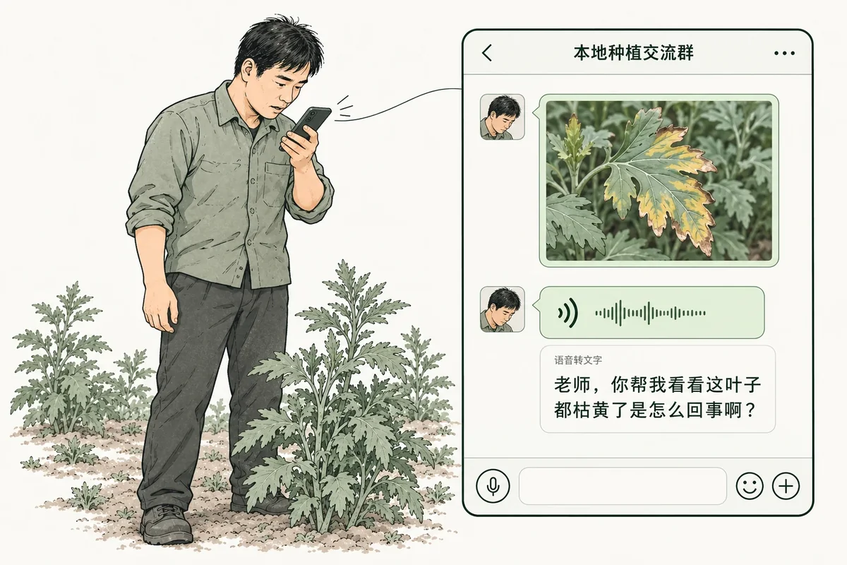 田间人员拍照并发送简短消息