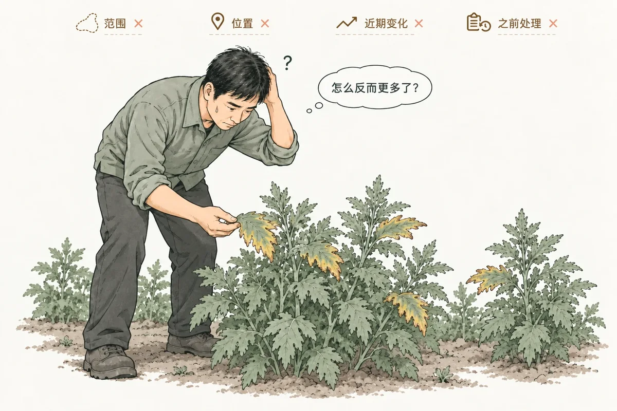 处理后异常仍在扩展